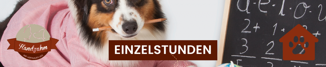 Einzelberatung
